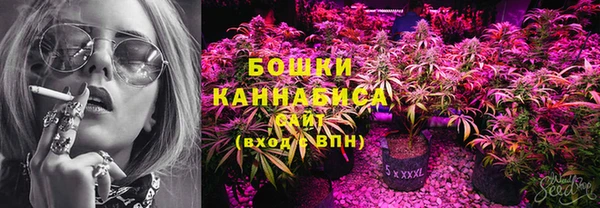 mix Богородицк