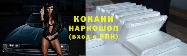 mix Богородицк