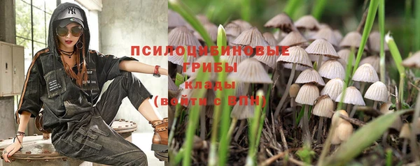 крисы Надым