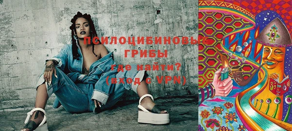 mix Богородицк
