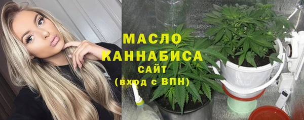 mix Богородицк