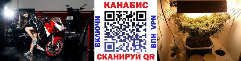 Канабис сатива  Купить  Белореченск 